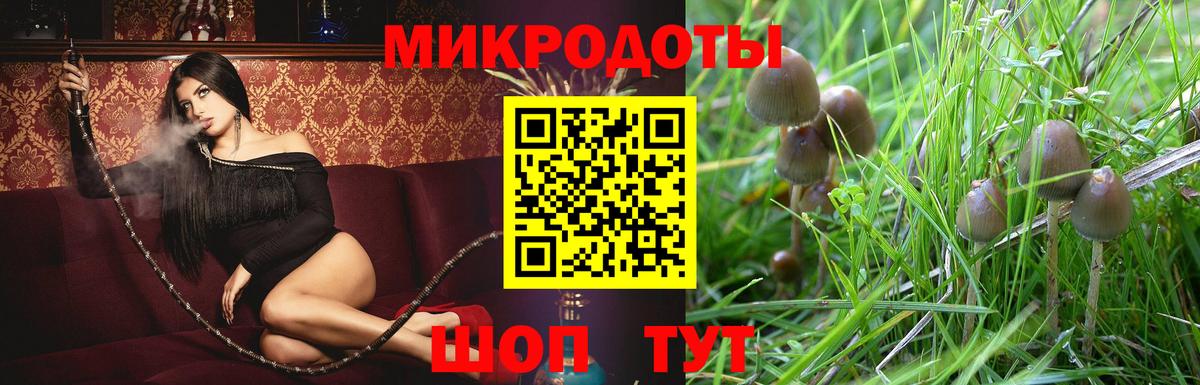 Галлюциногенные грибы Cubensis Ахтубинск