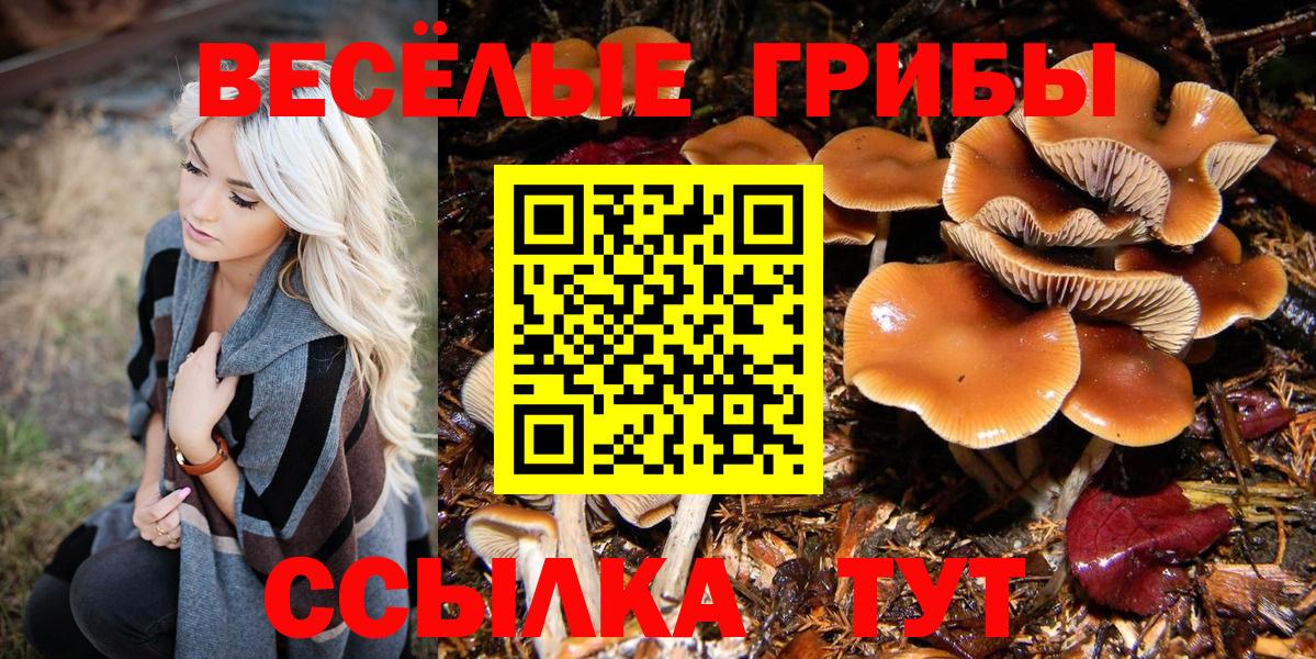 Ахтубинск  Псилоцибиновые грибы Psilocybine cubensis  Вход с VPN 